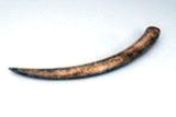 MARKK: C 2333. Elefantenzahn mit Messingring